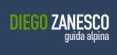 zanesco logo